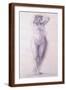 Brown Frame