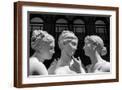 Brown Frame