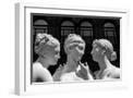 White Frame
