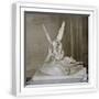 White Frame