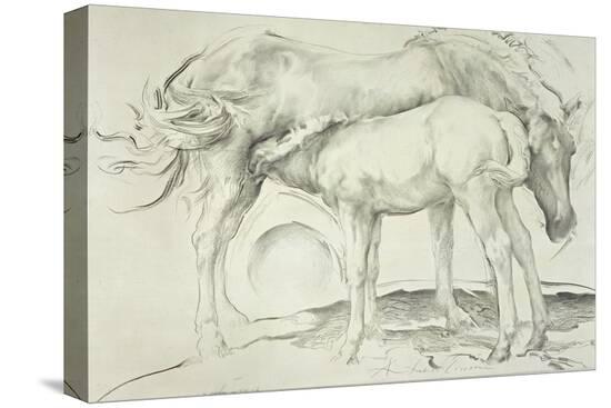 Stretched Canvas Print, , large