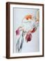 Brown Frame
