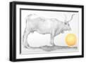 Black Frame