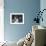 Antonio De Olivera Salazar Sitting at His Desk-Bernard Hoffman-Framed Photographic Print displayed on a wall