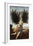 White Frame