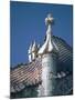 Antonio Gaudi's Cassa Batilo, Barcelona, Spain-David Barnes-Mounted Photographic Print