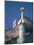 Antonio Gaudi's Cassa Batilo, Barcelona, Spain-David Barnes-Mounted Photographic Print