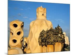 Antonio Gaudi's La Pedrera, Casa Mila, Barcelona, Spain-David Barnes-Mounted Photographic Print