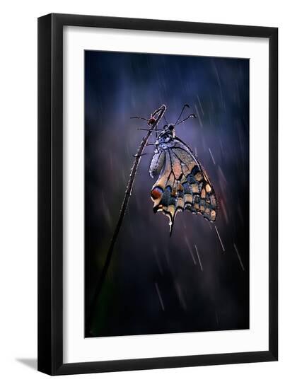 Premium Photographic Print, , large