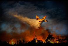 Canadair Aircraft in Action - Fighting for the Salvation of the Forest.-Antonio Grambone-Photographic Print