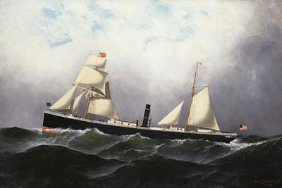 S.S. Niagara, 1877