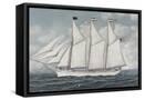 Canvas Black