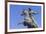 Antonio Maceo Equestrian Statue-Rolf-Framed Photographic Print