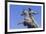 Antonio Maceo Equestrian Statue-Rolf-Framed Photographic Print