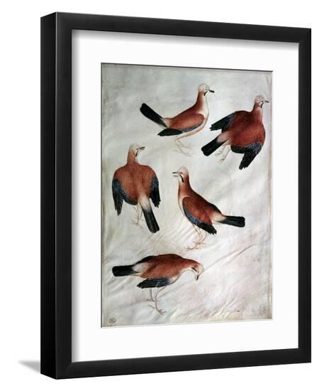Premium Giclee Print, , large
