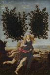 Apollo and Daphne, Ca. 1470-1480-Antonio Pollaiuolo-Giclee Print