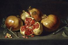 Pomegranates-Antonio Ponce-Stretched Canvas