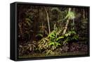 Canvas Black
