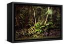 Canvas Black