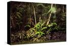Stretched Canvas