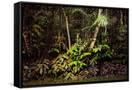 Canvas Black