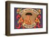 Antonio Sweet Valencia Oranges-null-Framed Art Print