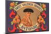 Antonio Sweet Valencia Oranges-null-Mounted Art Print