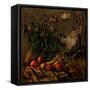 Canvas Black