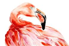 Pink Flamingo Bird Profile Portrait, Amazing Beautiful Animal, Art Print, Watercolor Wildlife Drawi-Antonova Katya-Stretched Canvas