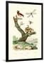 Ants, 1833-39-null-Framed Giclee Print