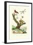 Ants, 1833-39-null-Framed Giclee Print