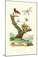 Ants, 1833-39-null-Mounted Giclee Print