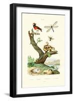 Ants, 1833-39-null-Framed Giclee Print