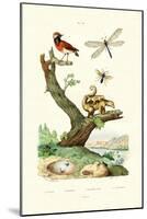 Ants, 1833-39-null-Mounted Giclee Print
