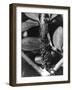 Ants and Black Fly-null-Framed Photographic Print