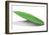 Ants Carrying Leaf-null-Framed Photographic Print