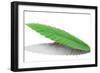 Ants Carrying Leaf-null-Framed Photographic Print