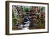 Ants crawling along cactus spines to escape floodwater, Texas-Karine Aigner-Framed Photographic Print