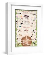 Ants-null-Framed Art Print