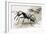 Ants-R. B. Davis-Framed Giclee Print