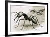 Ants-R. B. Davis-Framed Giclee Print