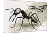 Ants-R. B. Davis-Mounted Giclee Print