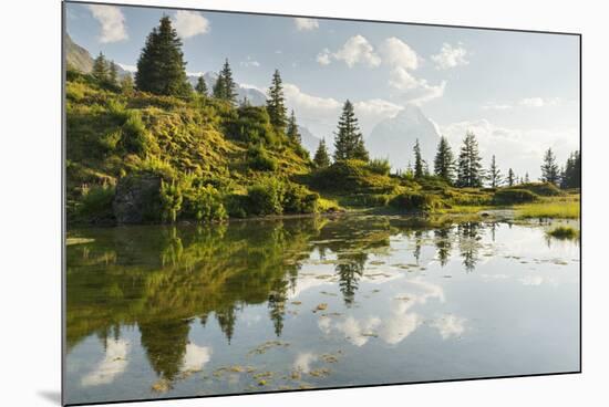 Antseeuwen, North Face of the Eiger, Switzerland-Rainer Mirau-Mounted Photographic Print