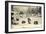 Antwerpen Flandern, Jardin Zoologique, Parc Des Yacks, Bisons Etc-null-Framed Giclee Print