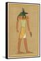 Anubis God of the Dead with the Head of a Jackel-null-Framed Stretched Canvas