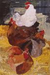 Chickens and Sunflowers-Anuk Naumann-Giclee Print