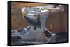 Anvil in Blacksmith Metal Workshop Photo Poster-null-Framed Stretched Canvas