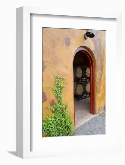 Anyela's Vineyard Winery, Wine Cellar, Skaneateles, New York, USA-Cindy Miller Hopkins-Framed Photographic Print