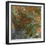 Anyuyskiy Volcano-null-Framed Photographic Print