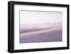 Anyway the Wind Blows-Jacob Berghoef-Framed Photographic Print